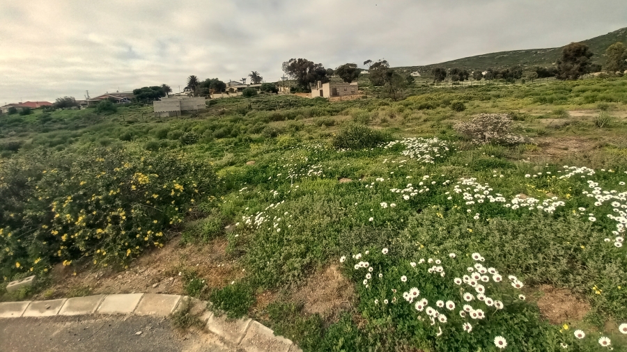 0 Bedroom Property for Sale in St Helena Views Western Cape